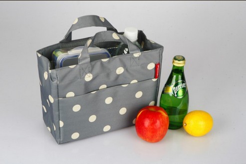 Protable Lunch Tote