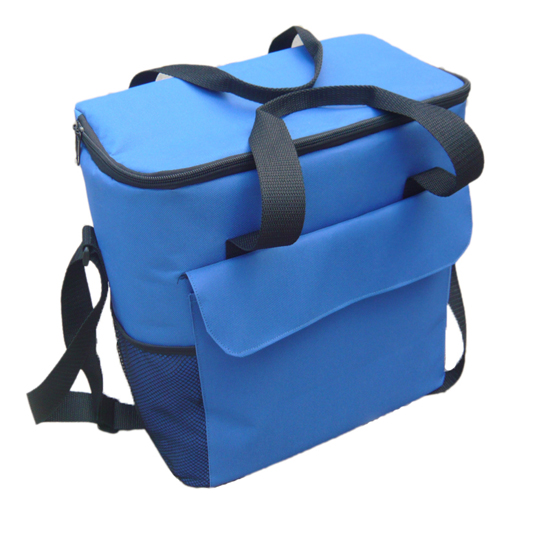 Cooler bag