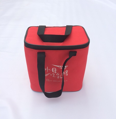 Picnic Cooler Bag